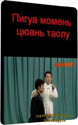 Пигуа момень цюань таолу (2009) DVDRip