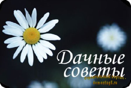 Дачные советы (2011) DVDRip